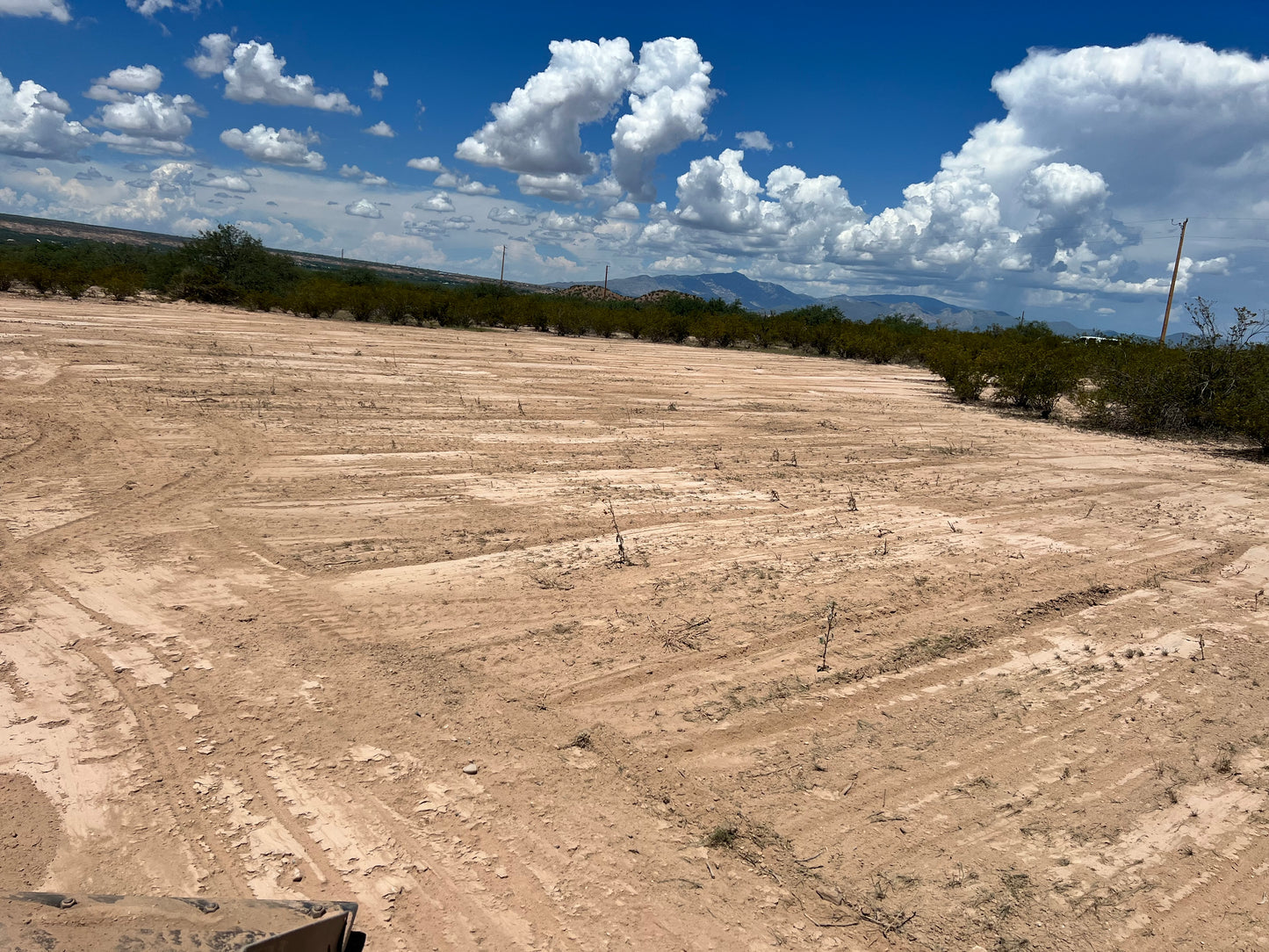 Land Clearing